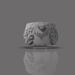 Cargue la imagen en el visor de la galería, Anillo Skull F