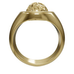 Cargue el modelo 3D en el visor de la Galería, Anillo CircleCR