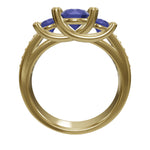 Cargue el modelo 3D en el visor de la Galería, Anillo 3C