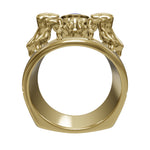 Cargue el modelo 3D en el visor de la Galería, Anillo Aranea