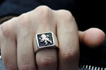 Cargue la imagen en el visor de la galería, Anillo con diseño de león