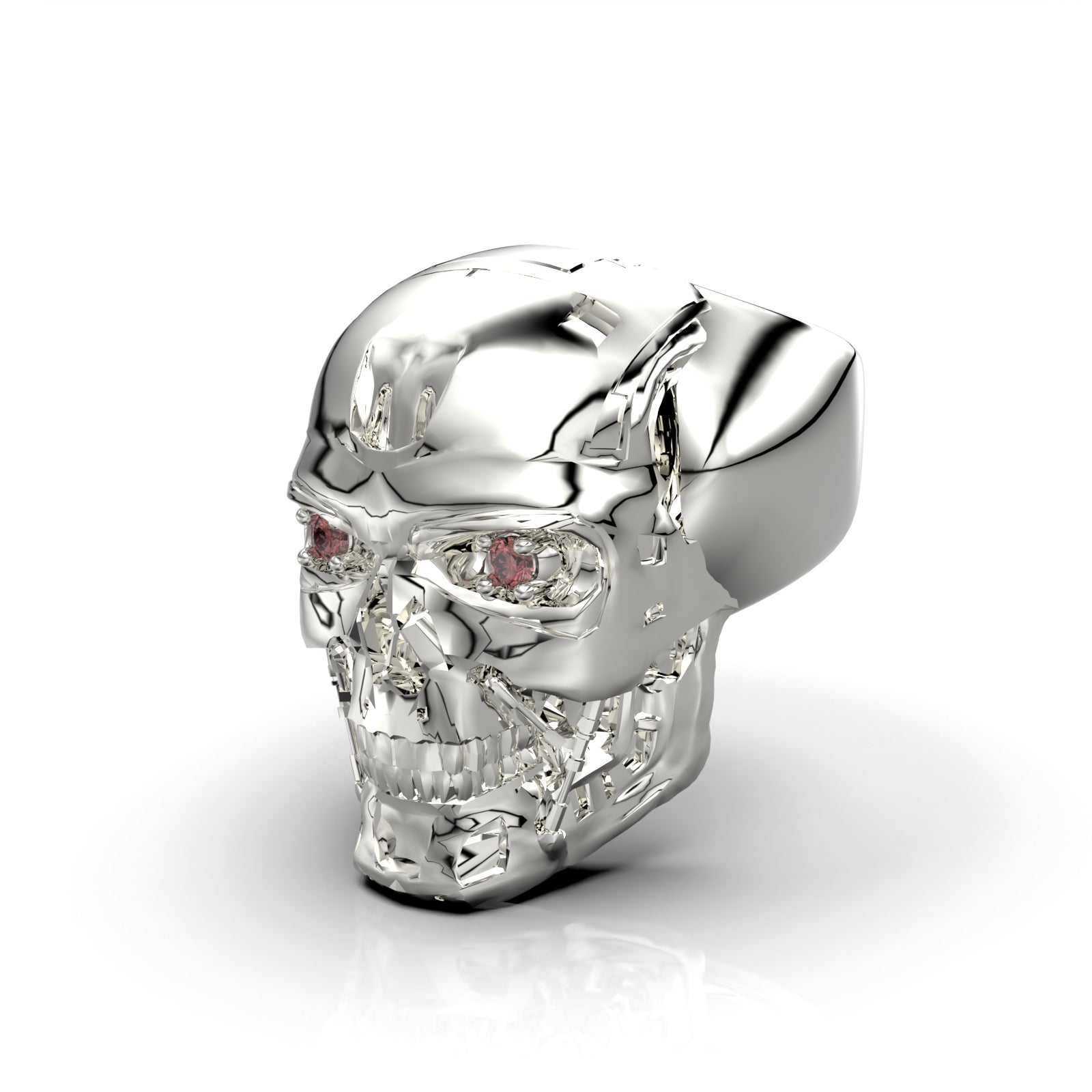 Anillo Terminator XL