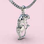 Cargue la imagen en el visor de la galería, Collar de Tigre