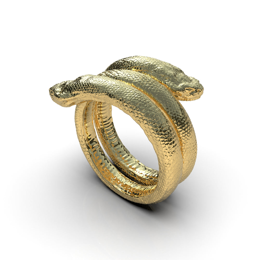 Anillo Snake