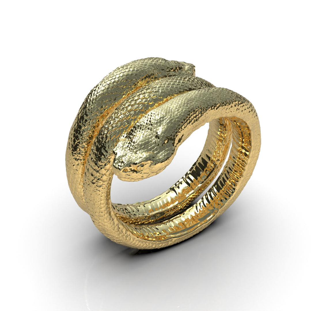 Anillo Snake