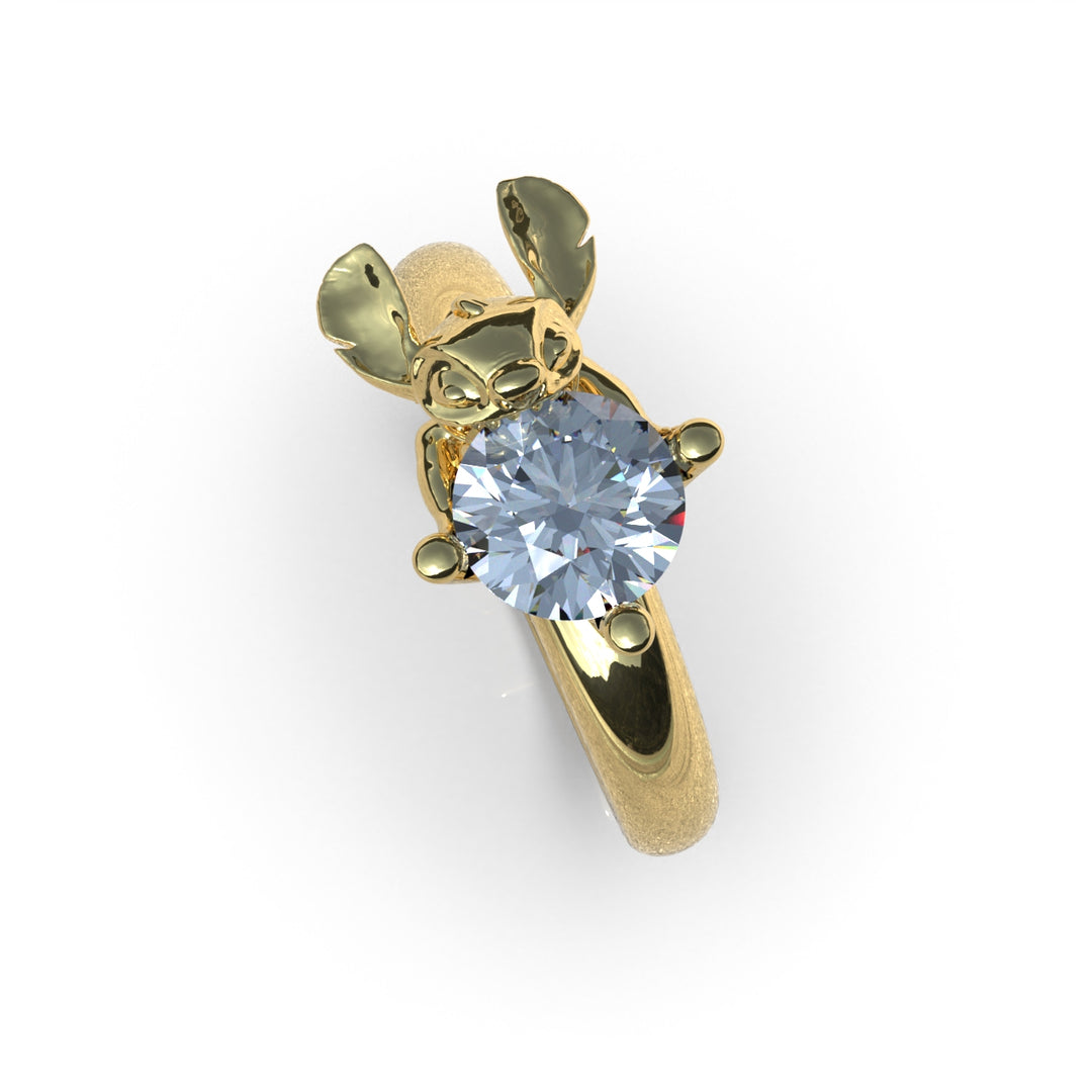 Anillo Stitch