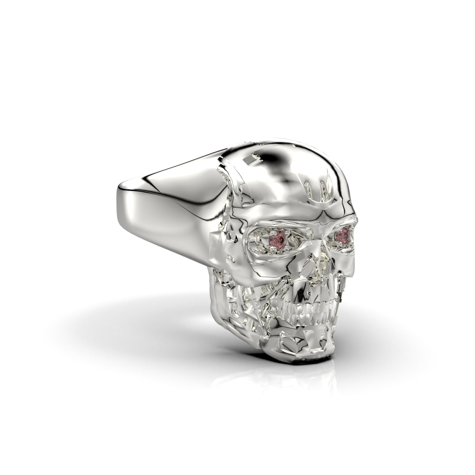 Anillo Terminator X