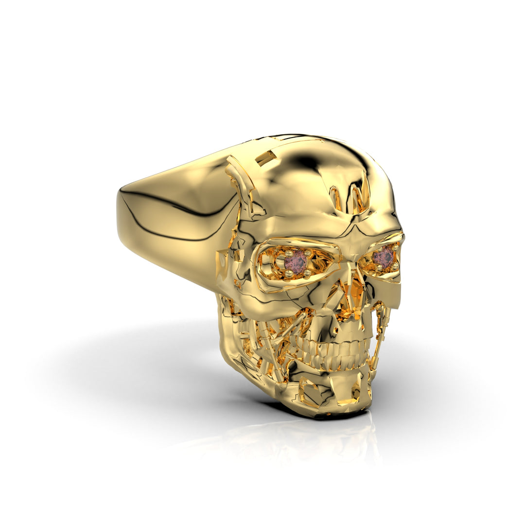 Anillo Terminator X