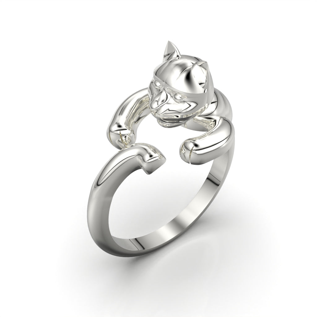 Anillo de gato