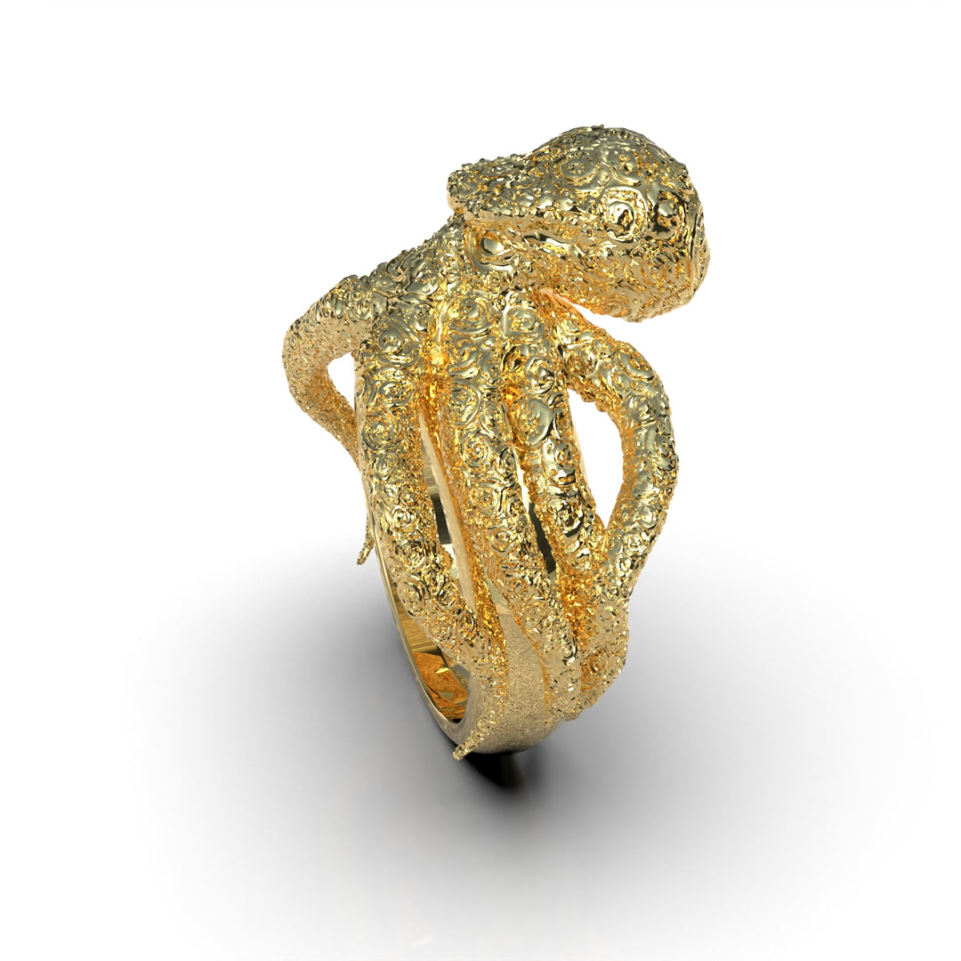 Anillo de Pulpo